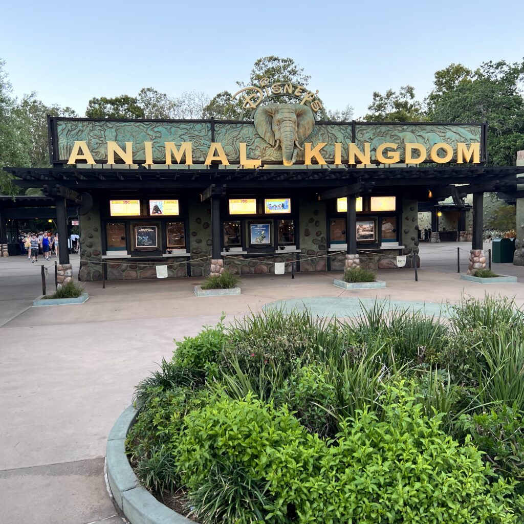 animal-kingdom-bushes
