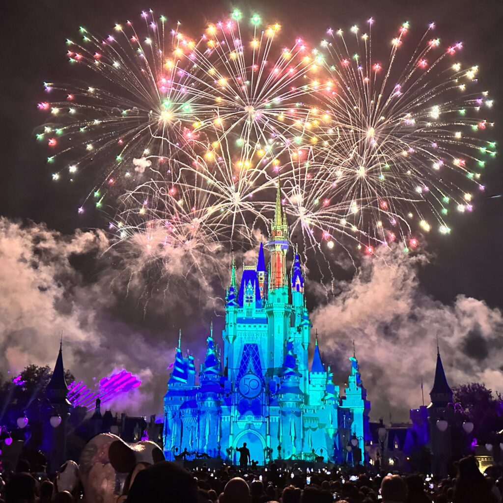 animal kingdom-fireworks