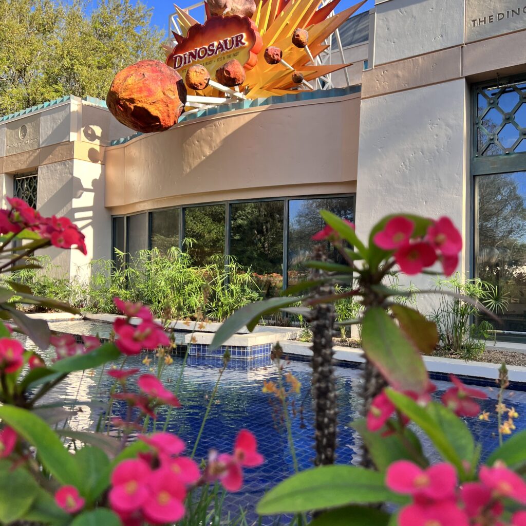 animal kingdom-flowers