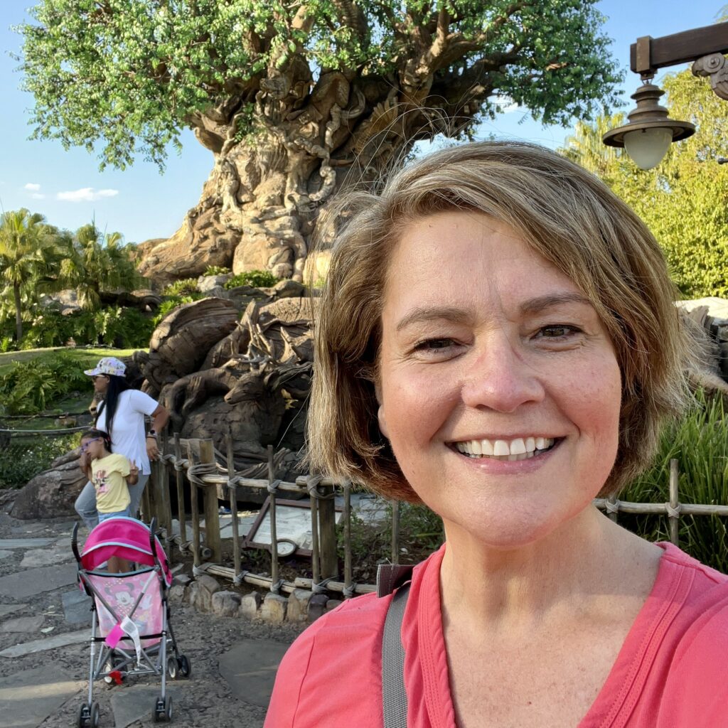 animal kingdom-tree 2