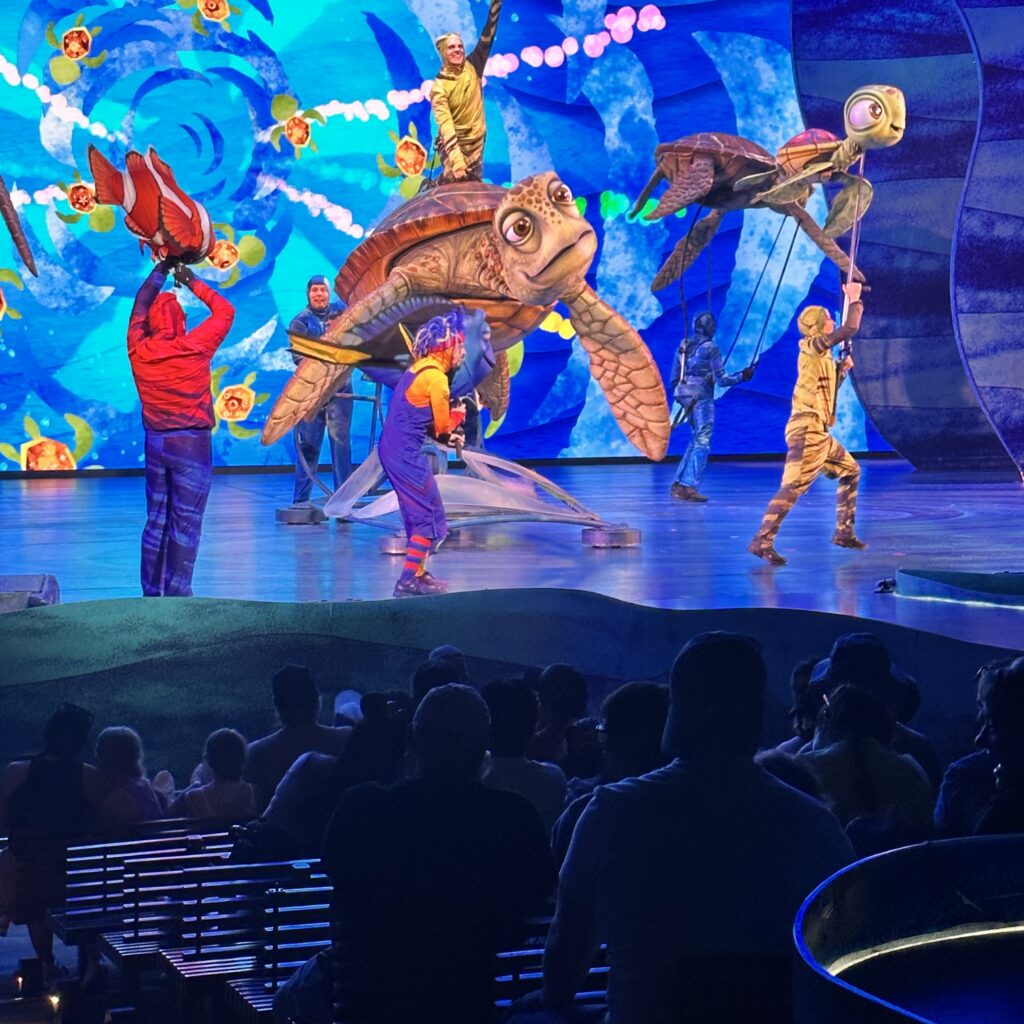 animal kingdom-turtles