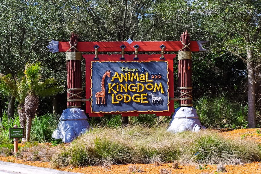 animal kingdom