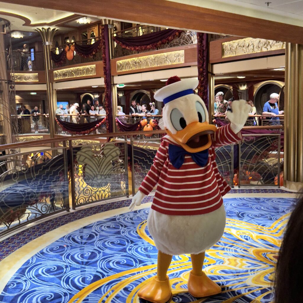 cruise-donald