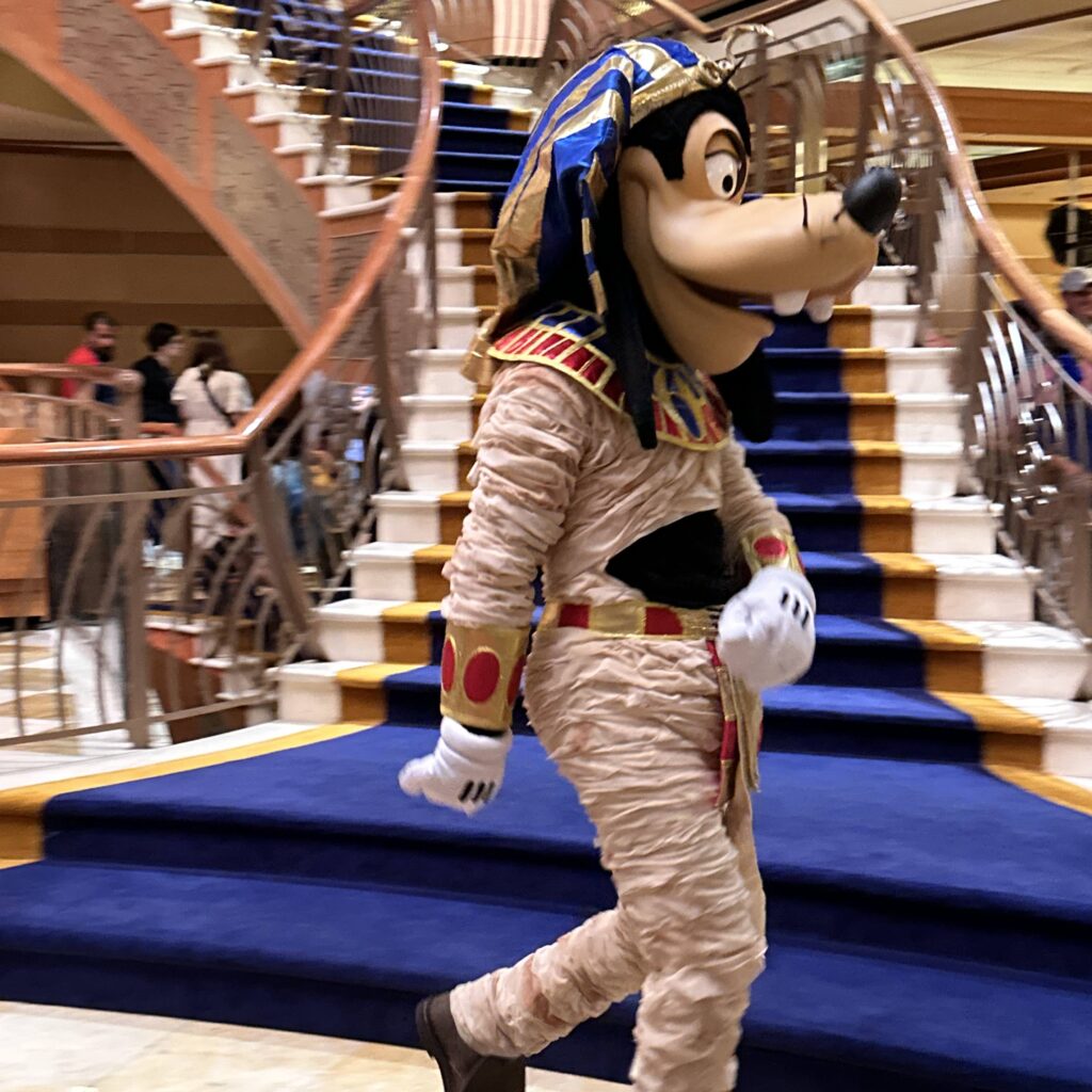 cruise-goofy