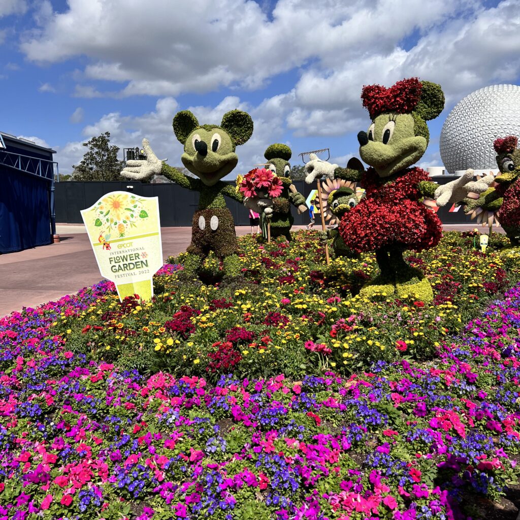 epcot-mickey and minnie bushes