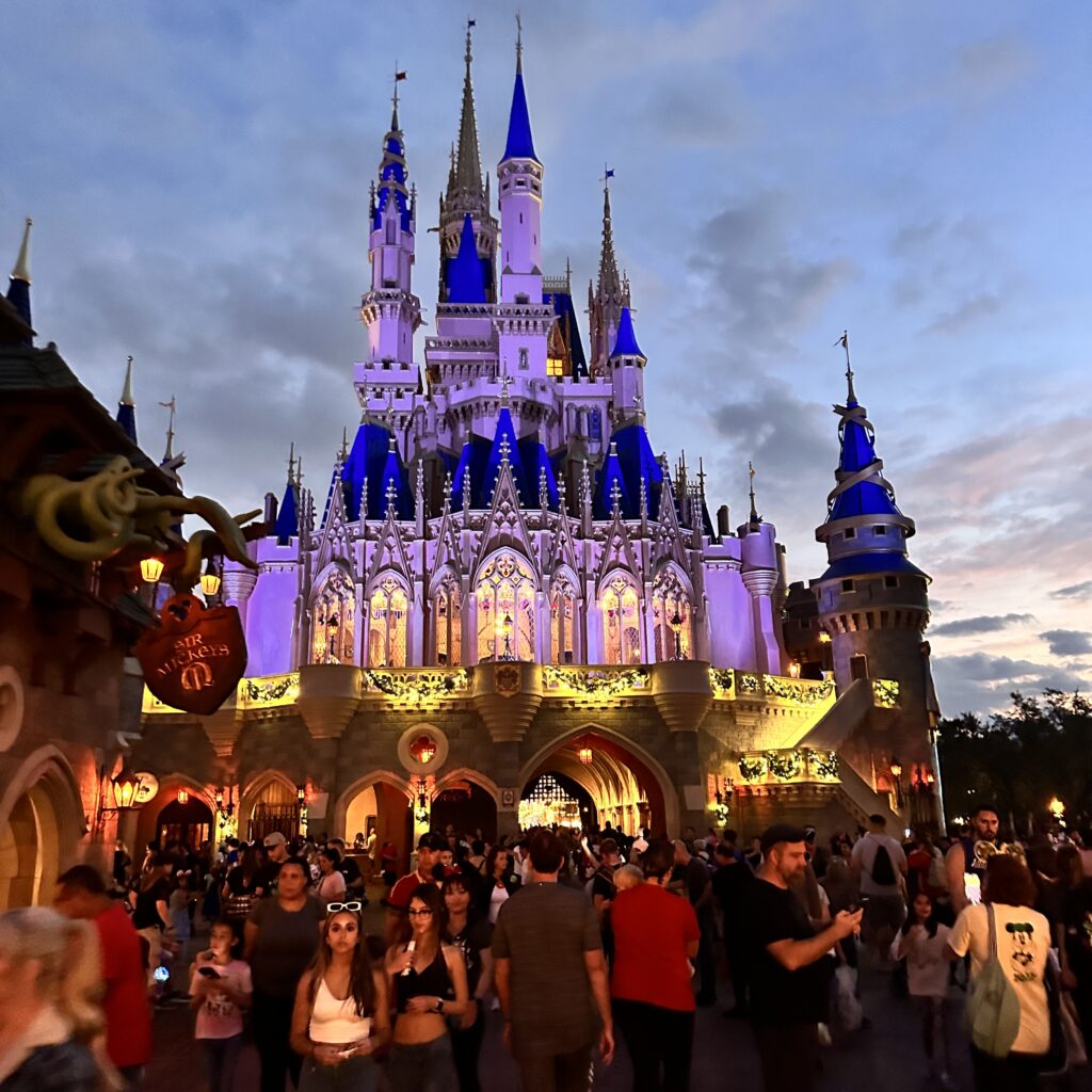 magic kingdom-castle
