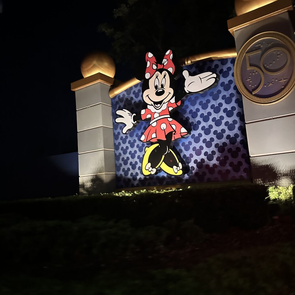 magic kingdom-minnie night